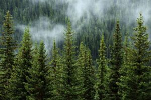 3. Warum Klimafreundlichkeit wichtiger denn je ist